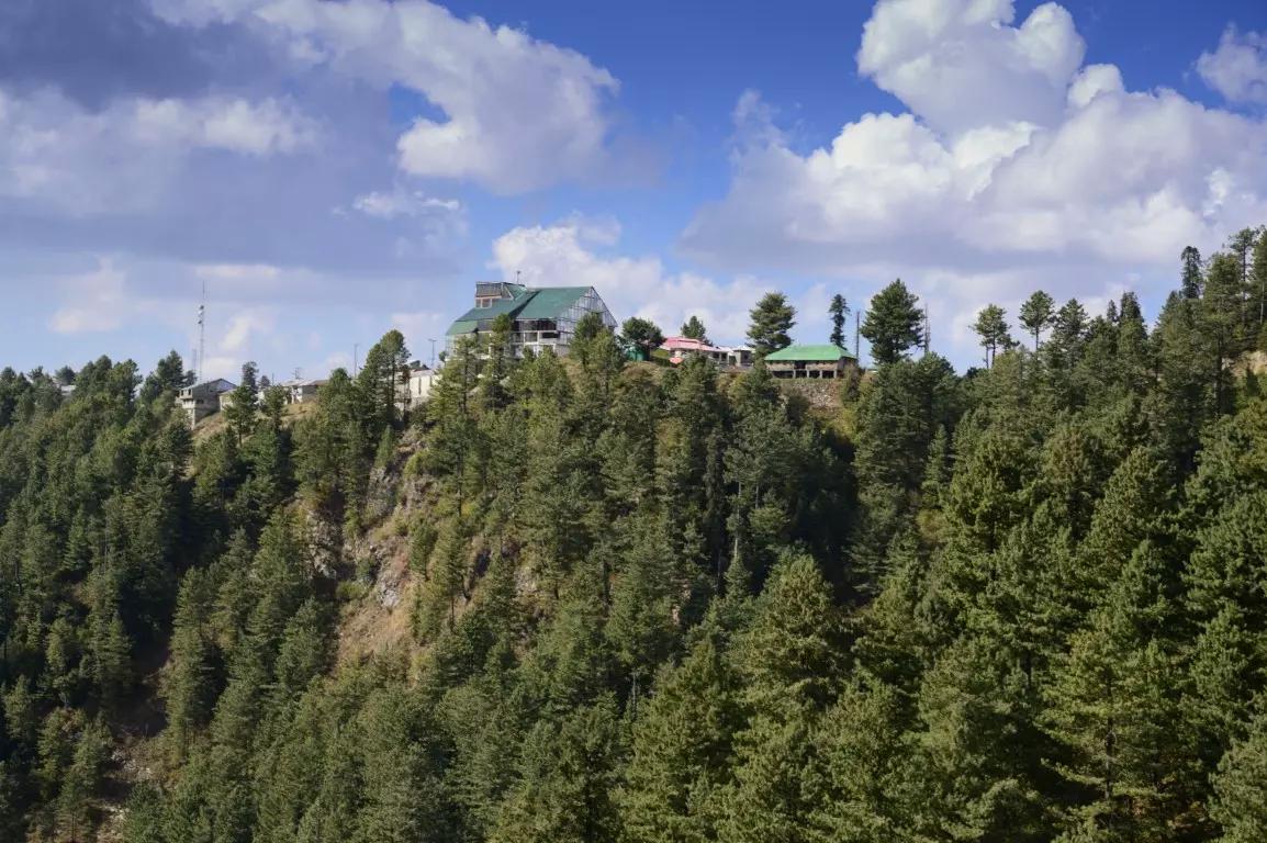 Nathiagali - Gold