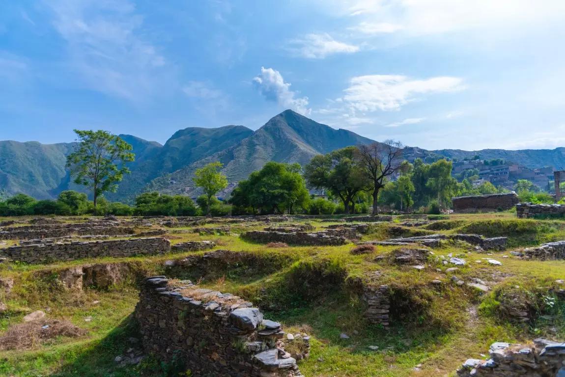 Swat & Chitral - Gold