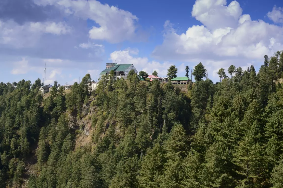 Nathiagali - Gold